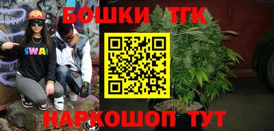 индика Мариинск
