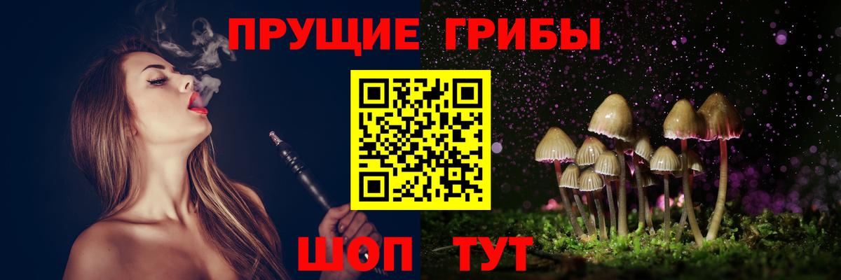 Ялуторовск  Галлюциногенные грибы GOLDEN TEACHER  Вход с VPN  Псилоцибиновые грибы Psilocybe 